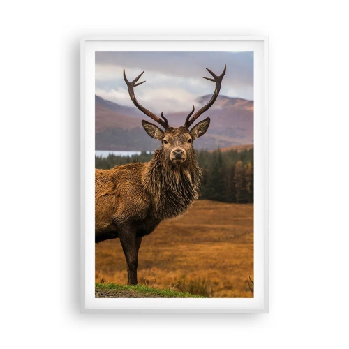 Pôster em moldura branca - A majestade da natureza - 61x91 cm