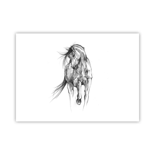 Pôster - Num trote gracioso - 70x50 cm