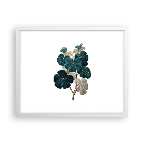 Pôster em moldura branca - Do antigo herbário - 50x40 cm