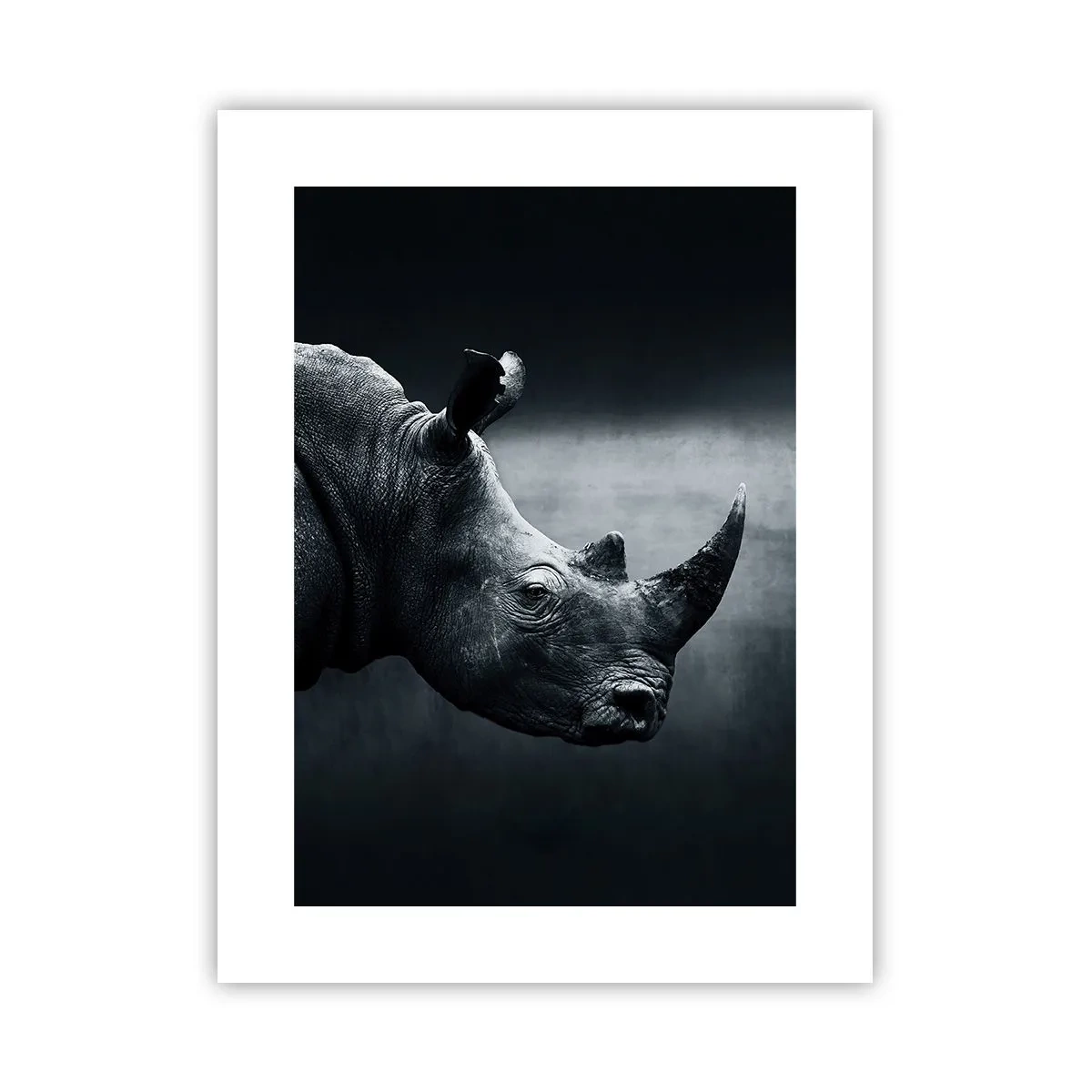 Pôster - Perfil direito - 30x40 cm