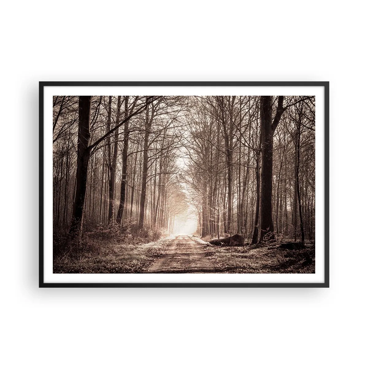 Pôster com moldura preta - Catedral na Floresta - 100x70 cm