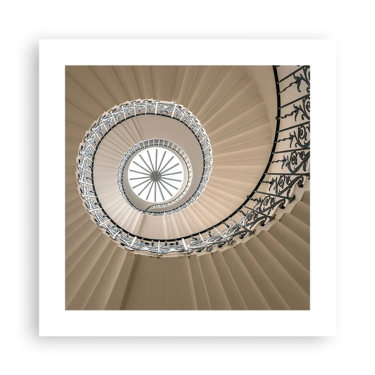 Pôster - Dentro da casca - 40x40 cm