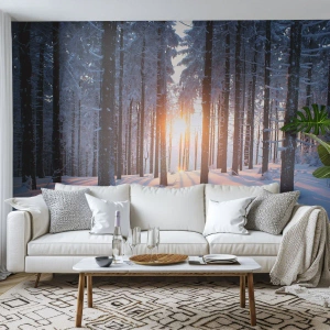 Papel de Parede Standard Eco - Floresta de inverno com raios de sol - 100x70cm - Preto no branco - Decoração de parede moderna para a sala de estar e quarto ARTTOR