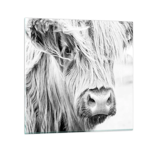 Quadro em vidro - Natureza selvagem escocesa - 30x30 cm