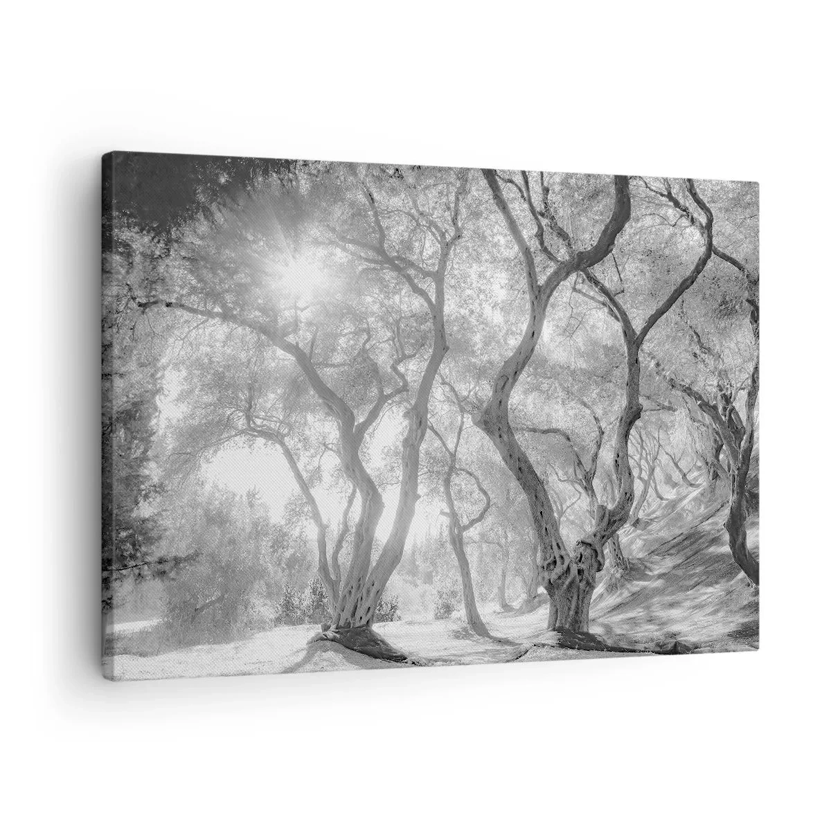 Quadro em tela - No olival - 70x50 cm
