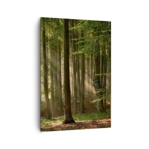 Quadro em tela - Radiante em uma manhã de primavera - 70x100 cm
