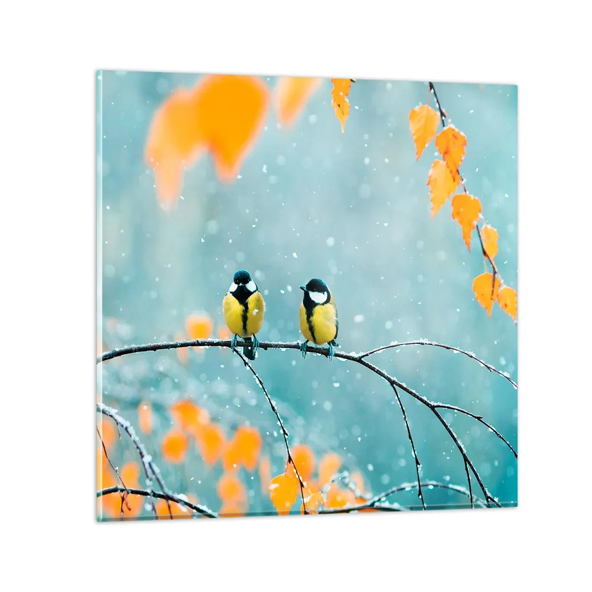 Quadro em vidro - Fofoca de pássaros - 40x40 cm