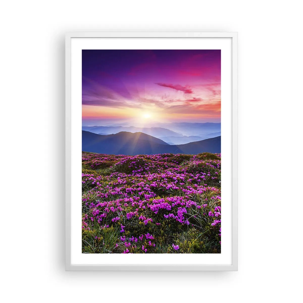 Pôster em moldura branca - Campo cheiroso - 50x70 cm