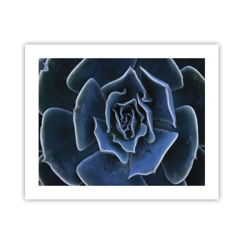 Pôster - Flor do deserto - 50x40 cm