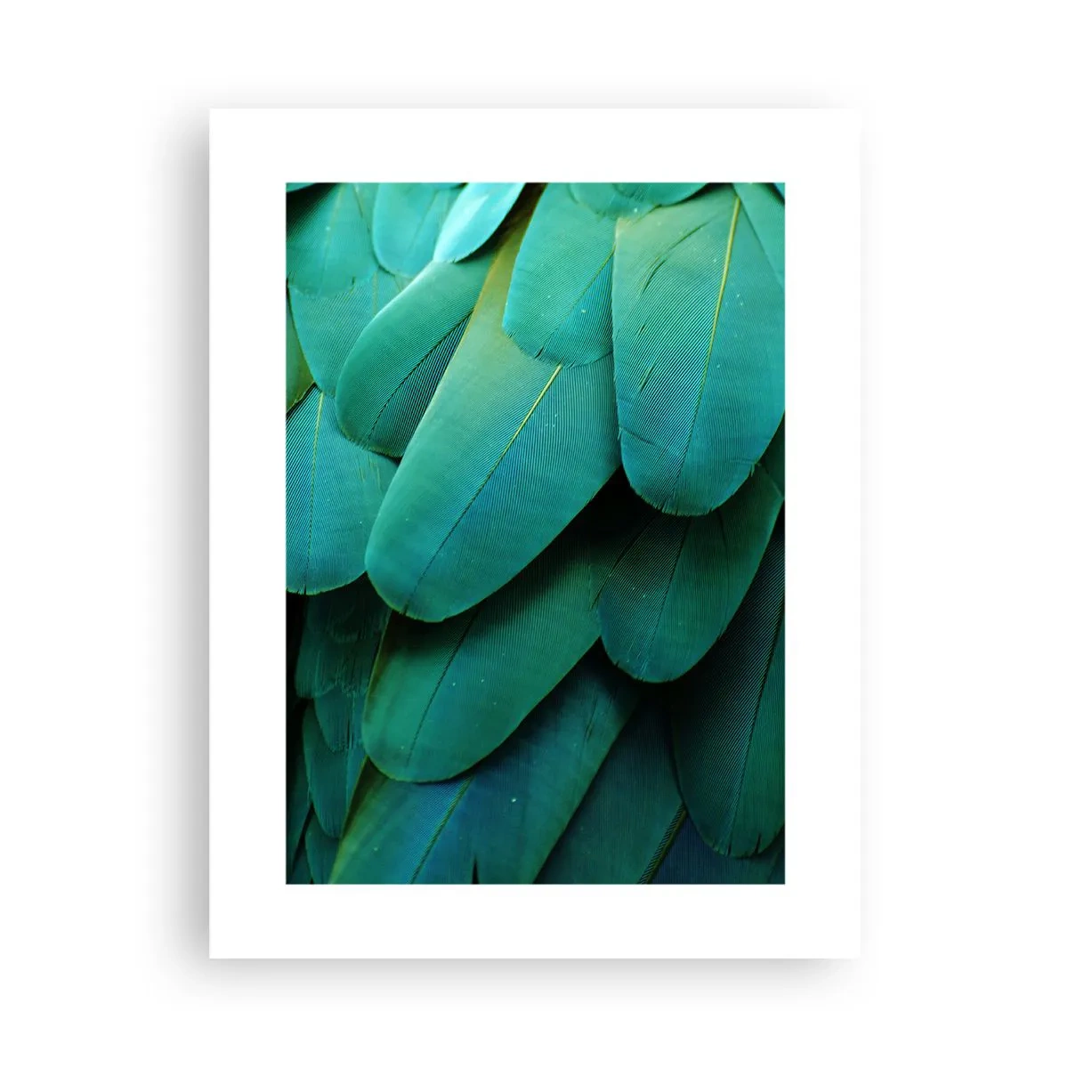 Pôster - Precisão de papagaio - 30x40 cm