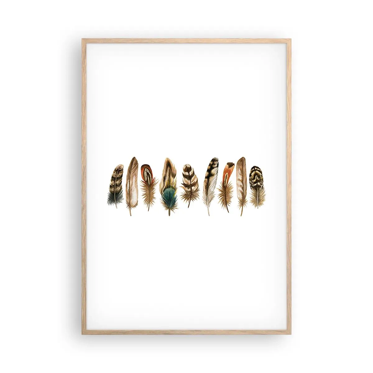 Pôster com moldura de carvalho claro - Variações de penas - 70x100 cm