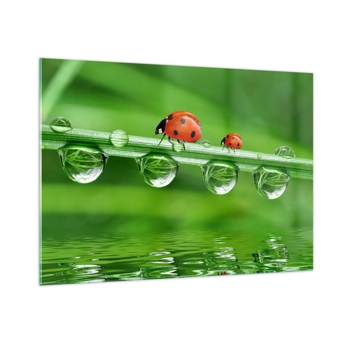 Quadro em vidro - Estrada do verão - 100x70 cm