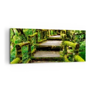 Quadro em tela - Corredor de vegetação - 100x40 cm