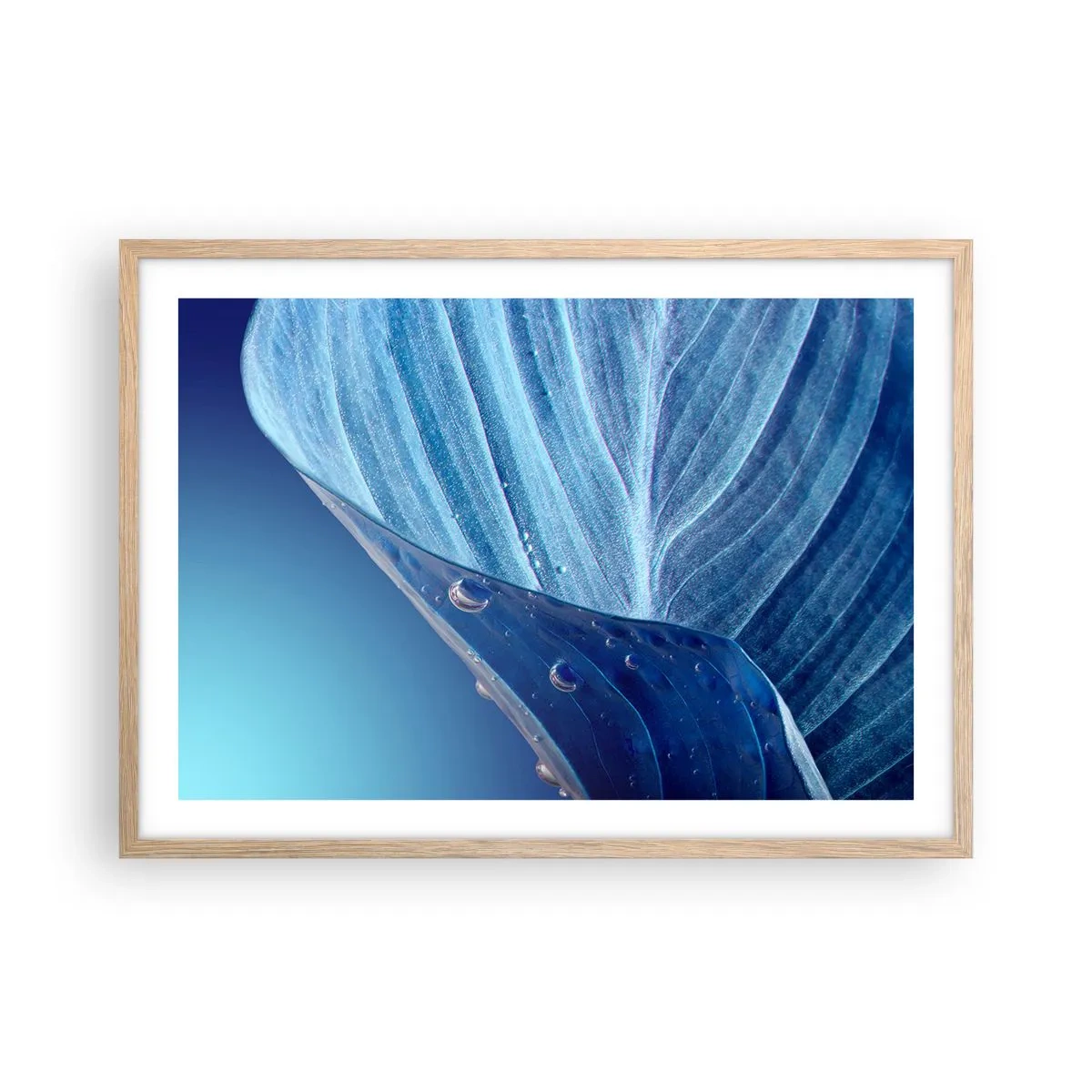 Pôster com moldura de carvalho claro - Gotas escondidas no azul - 70x50 cm
