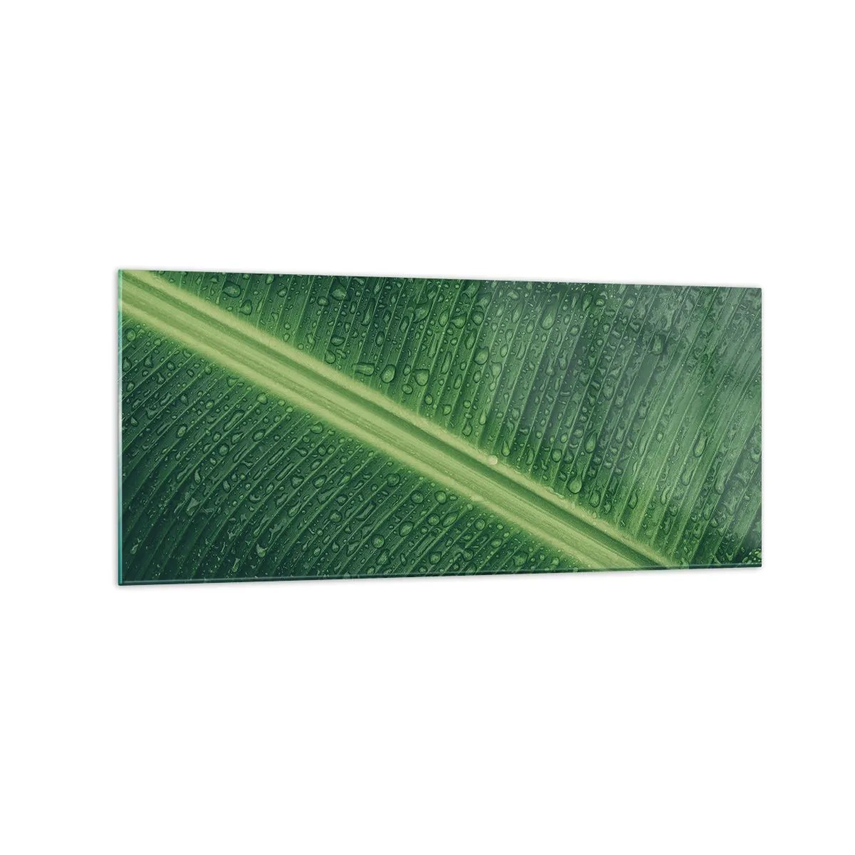 Quadro em vidro - A estrutura da vegetação - 120x50 cm