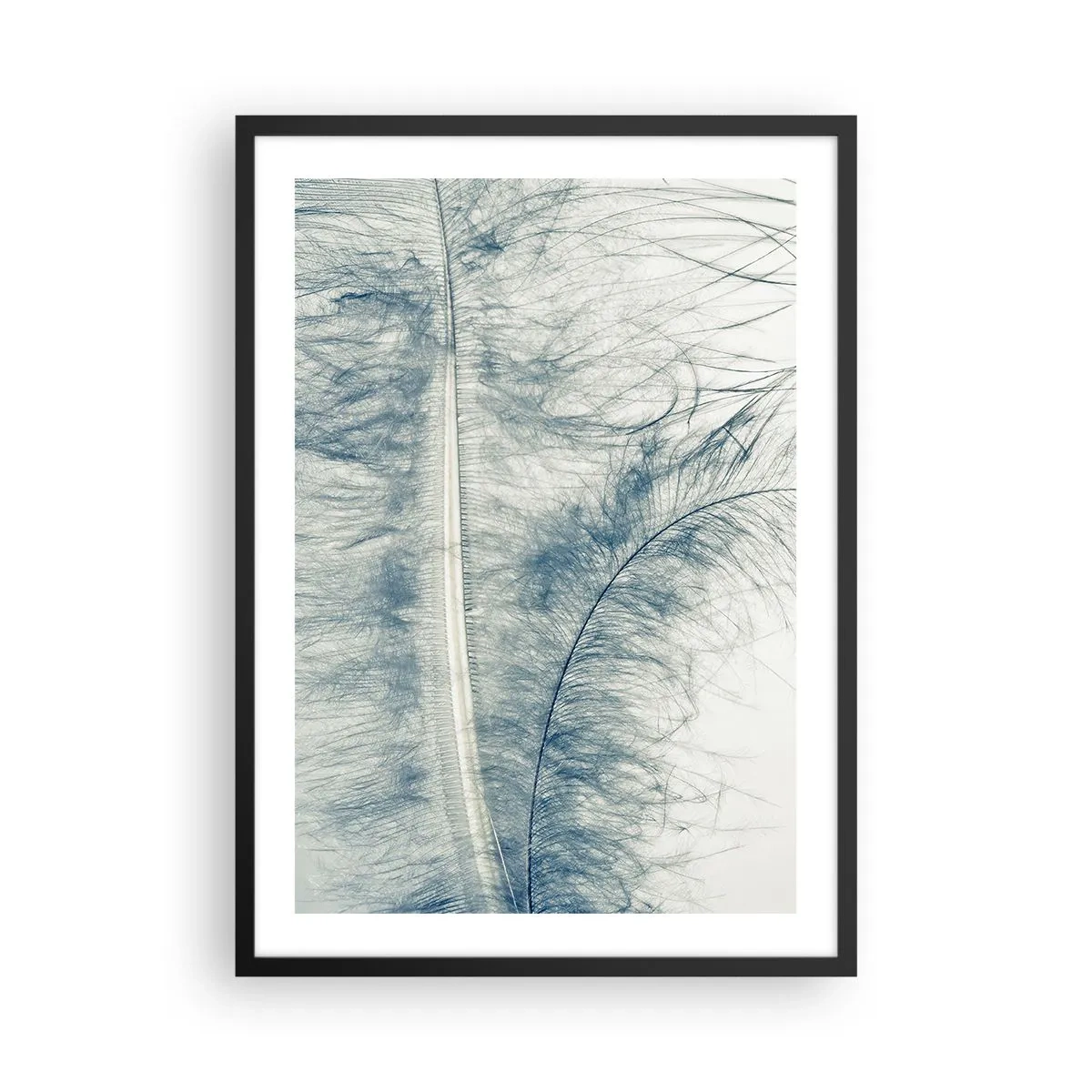 Pôster com moldura preta - Uma pena delicada em tons sutis de azul - 50x70cm - O sussurro da natureza - Decoração de parede moderna para a sala de estar e quarto ARTTOR