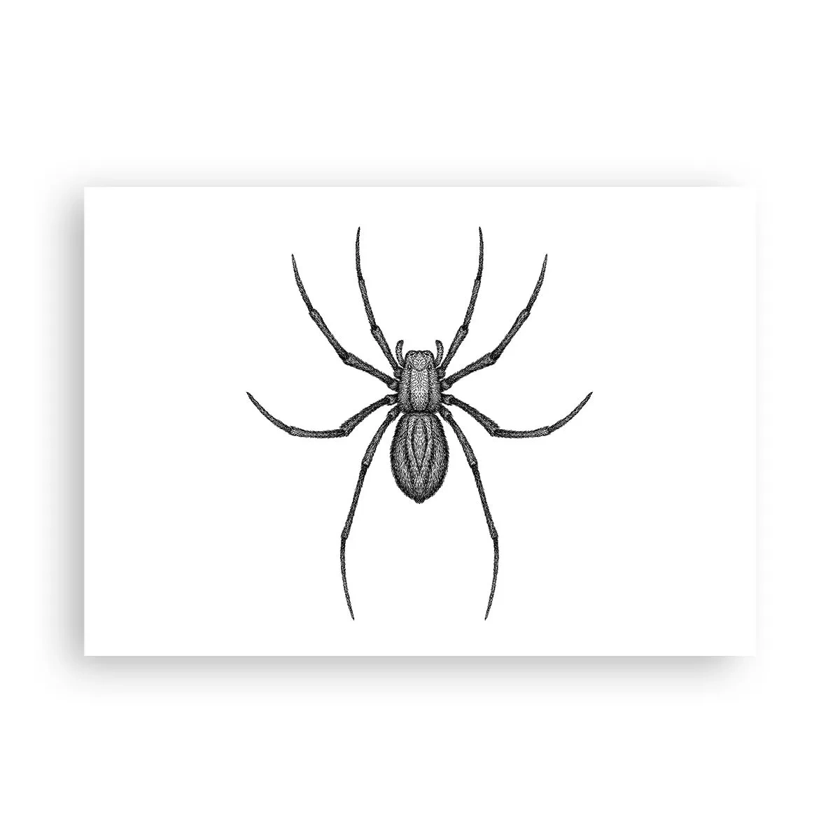 Pôster - Precisão perturbadora - 100x70 cm