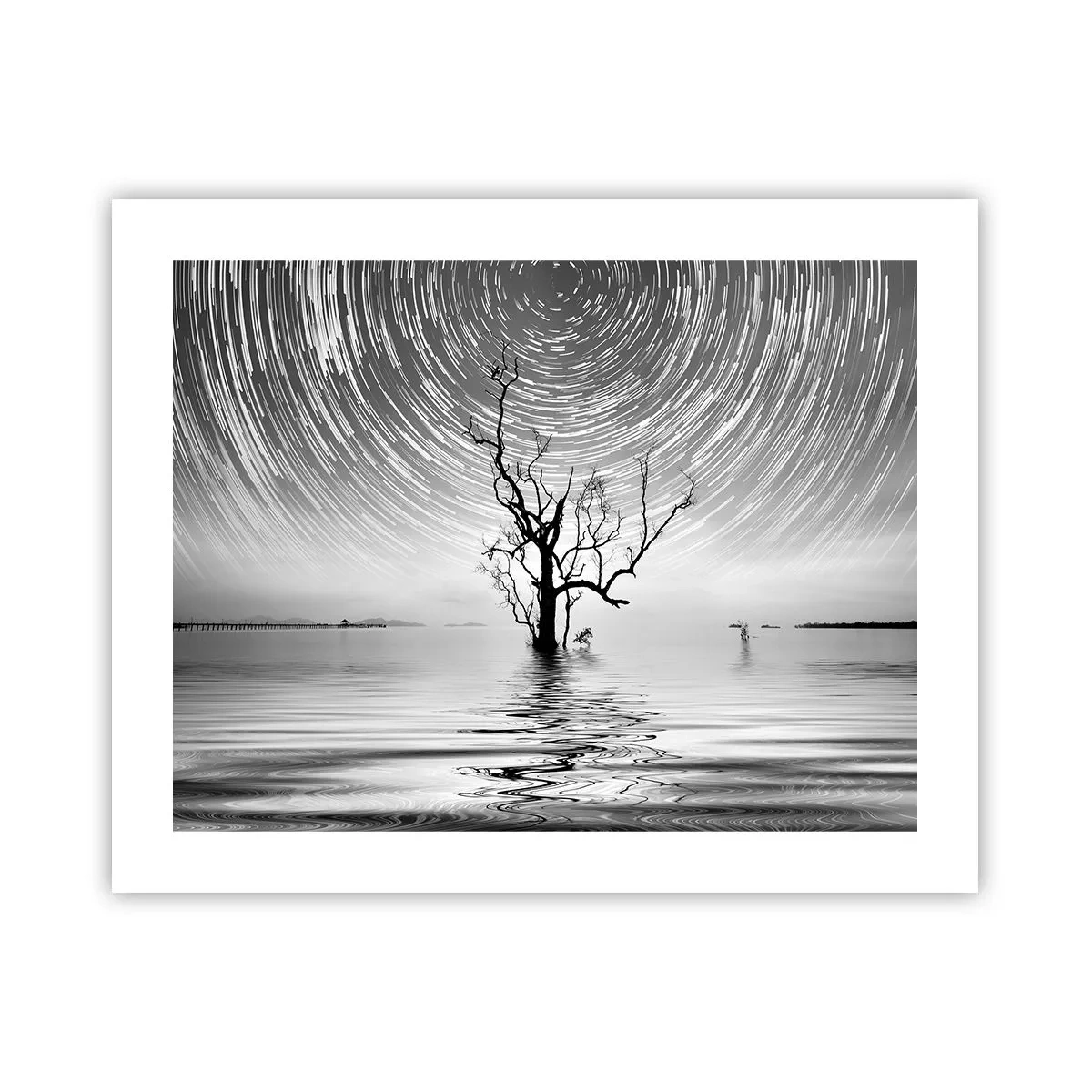 Pôster - Sinfonia da natureza - 50x40 cm