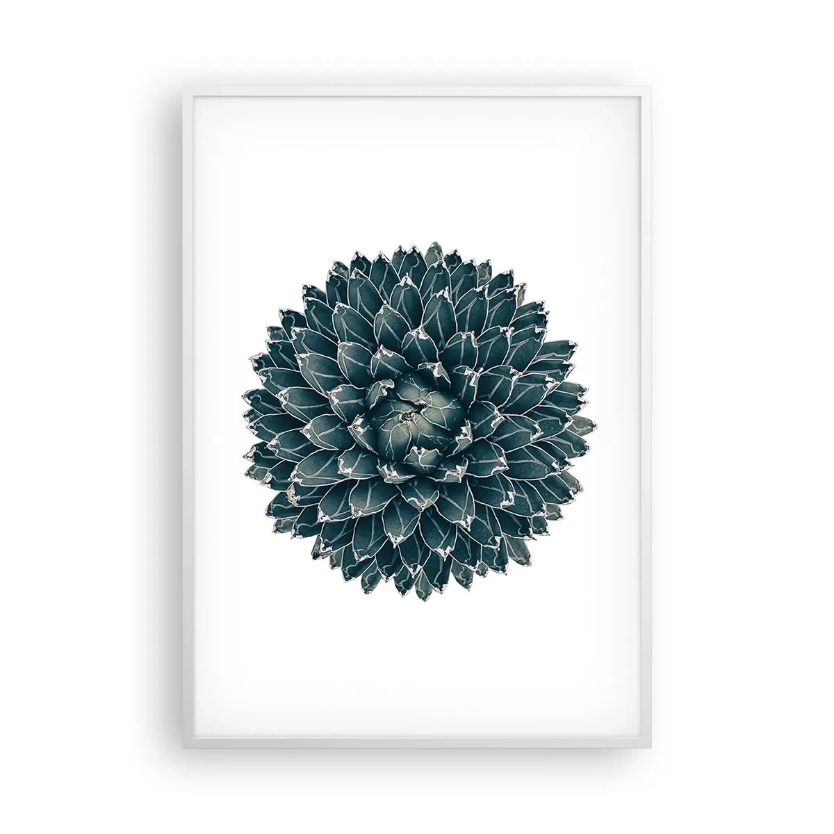 Pôster em moldura branca - Estrela do Deserto - 70x100 cm