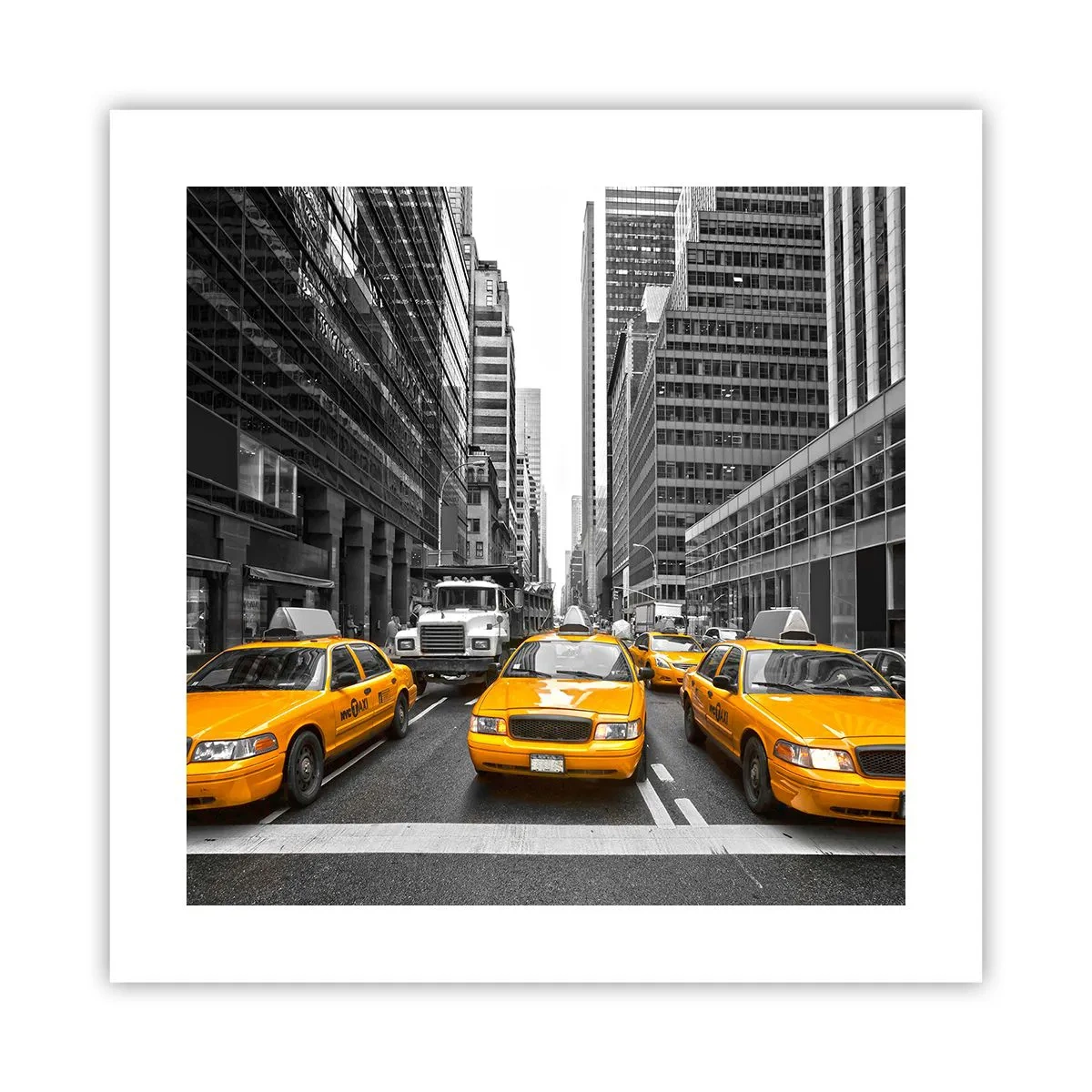 Pôster - Somos a cor da cidade - 40x40 cm