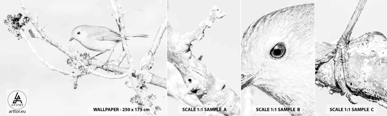 Amostra de papel de parede autocolante Deluxe Sticker - Manhã de inverno - Brilhante, Pássaro, Natureza - 100x30 cm