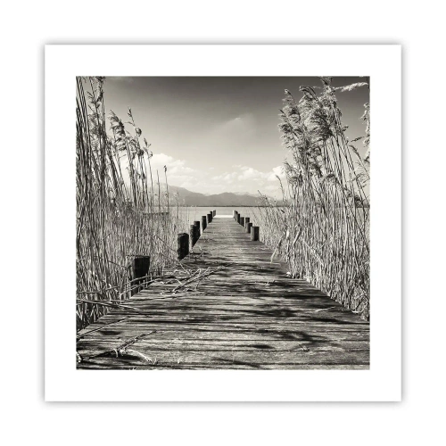 Pôster - No silêncio da relva - 40x40 cm