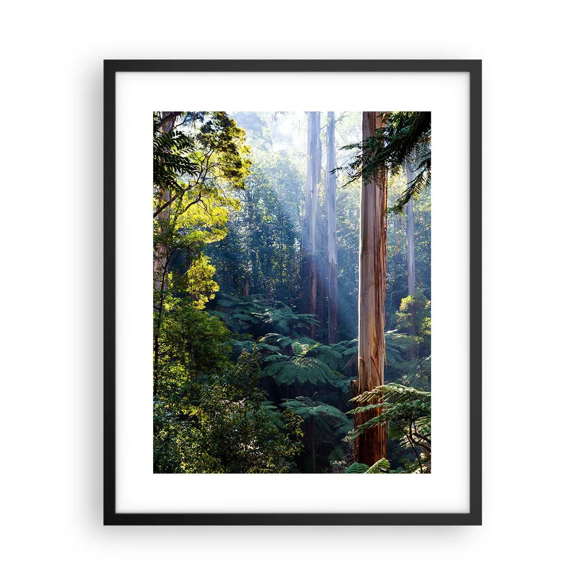 Pôster com moldura preta - Um conto de fadas da floresta - 40x50 cm