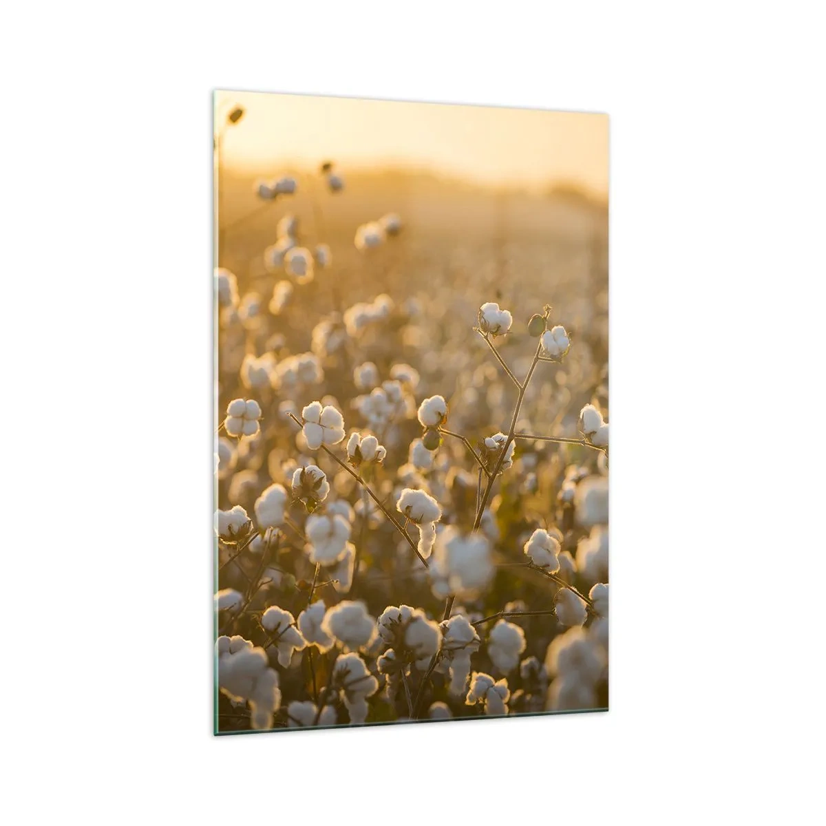 Quadro em vidro - Campo macio - 70x100 cm