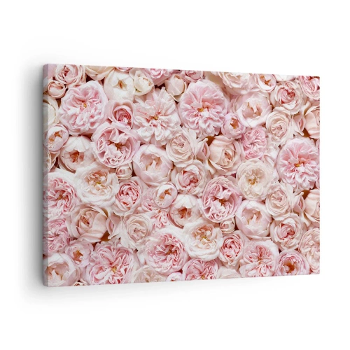 Quadro em tela - Rosas delicadas em tons de rosa por toda a superfície - 70x50cm - Uma cama de rosas - Decoração de parede moderna para a sala de estar e quarto ARTTOR