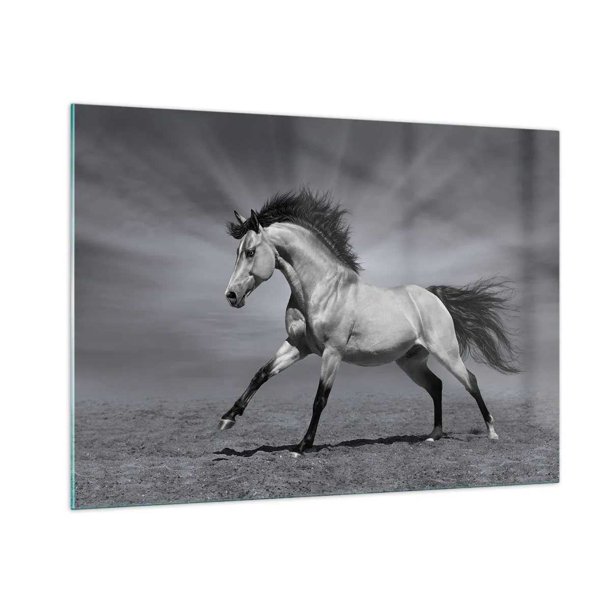 Quadro em vidro - Nascido para encantar - 100x70 cm