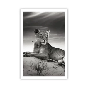 Pôster - Descanso da Rainha do Deserto - 61x91 cm