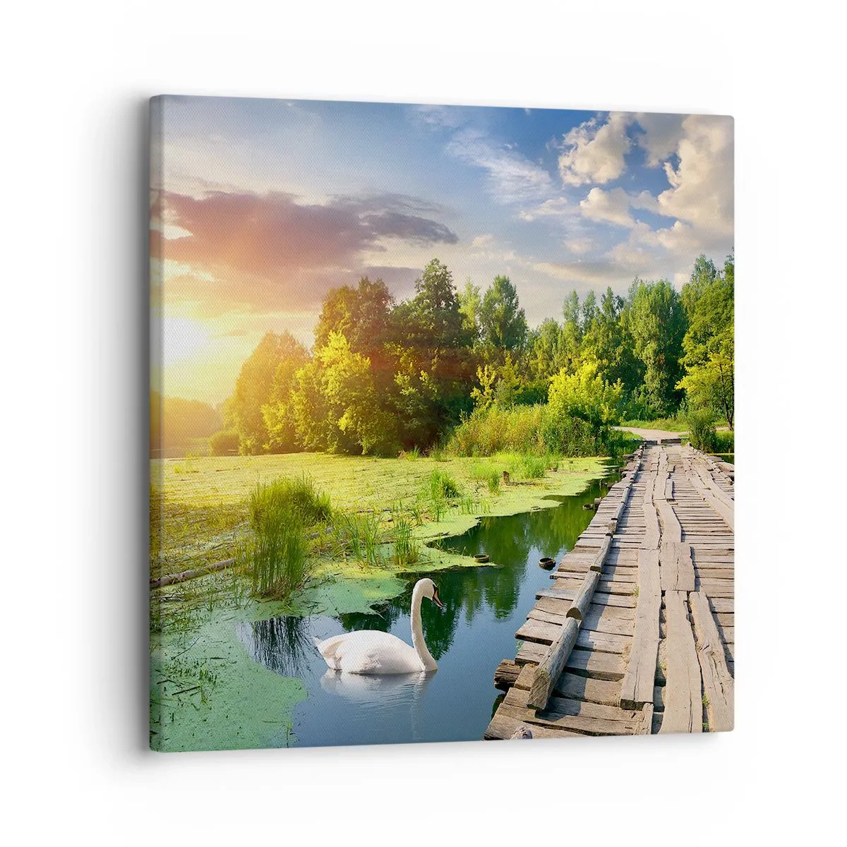 Quadro em tela - Verão em todos os lugares - 30x30 cm