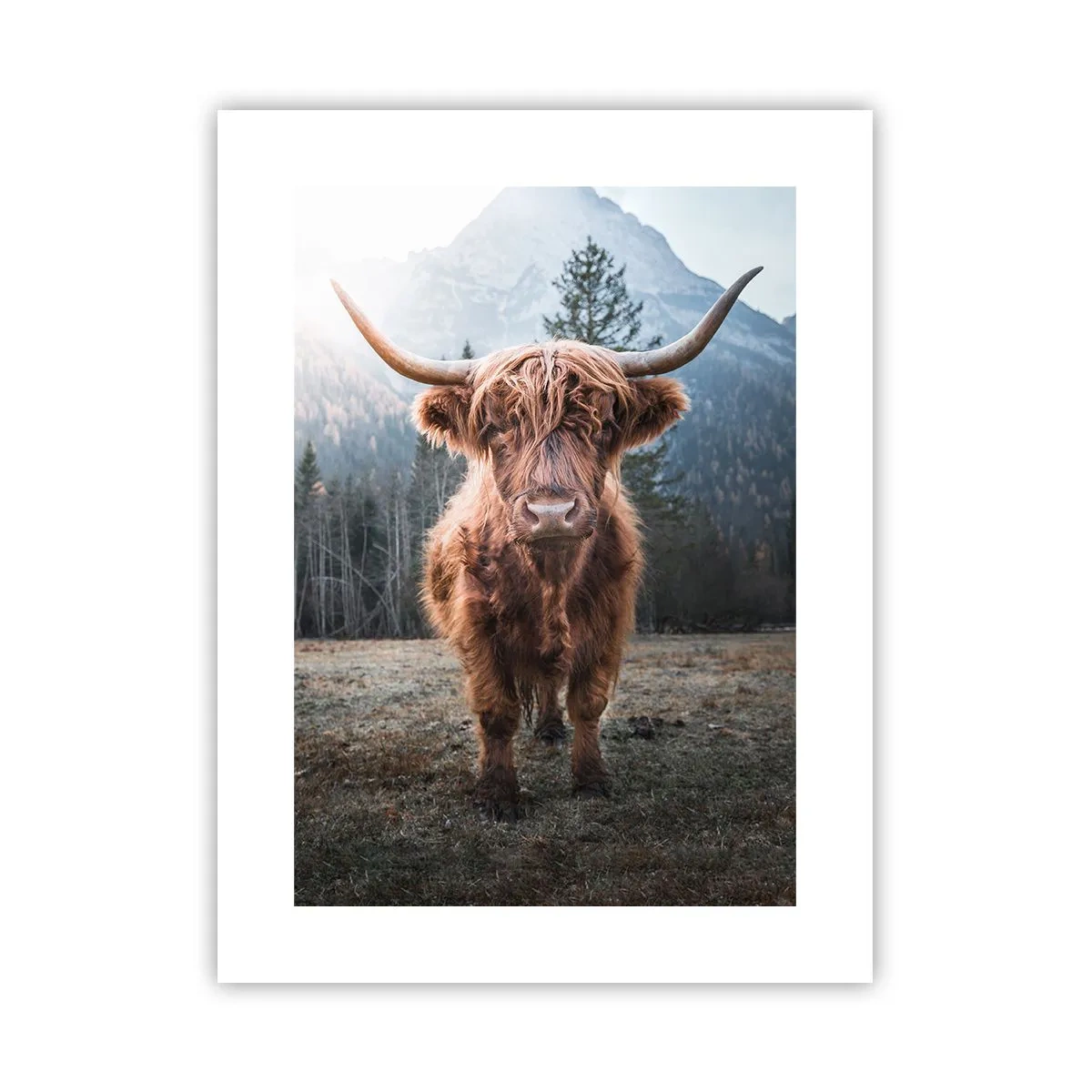 Pôster - Saudações do prado da montanha - 30x40 cm