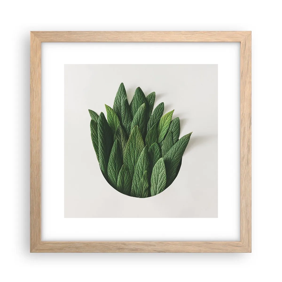 Pôster com moldura de carvalho claro - Curiosidade indomável - 30x30 cm