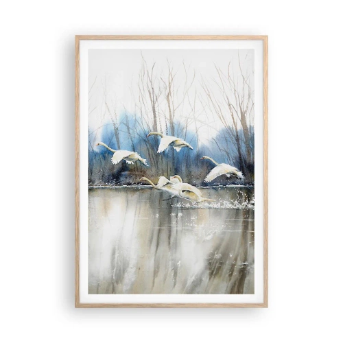 Pôster com moldura de carvalho claro - Como no conto de fadas sobre cisnes selvagens - 70x100 cm