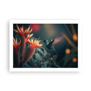 Pôster - Uma vida verdadeiramente colorida - 70x50 cm