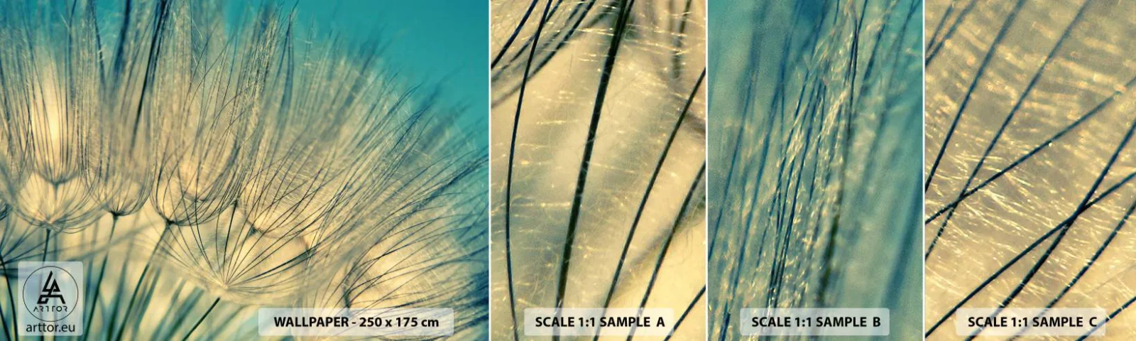 Amostra de Papel de Parede Standard Eco - À espera do vento - Dente de leão, Prado, Natureza - 100x30 cm