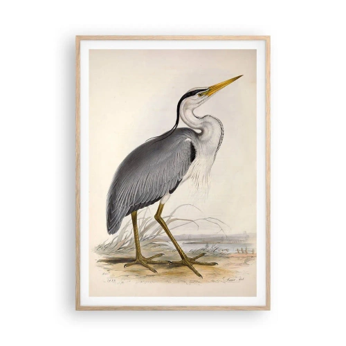Pôster com moldura de carvalho claro - Graça de garça - 70x100 cm