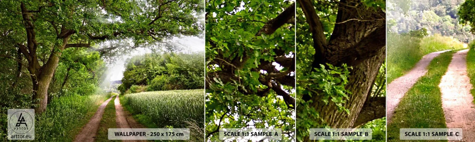 Amostra de Papel de Parede Standard Eco - Os pastores de Arcadia - Paisagem, Estrada de terra, Natureza - 100x30 cm