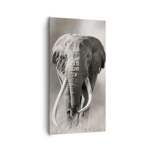 Quadro em tela - Patriarca africano - 65x120 cm