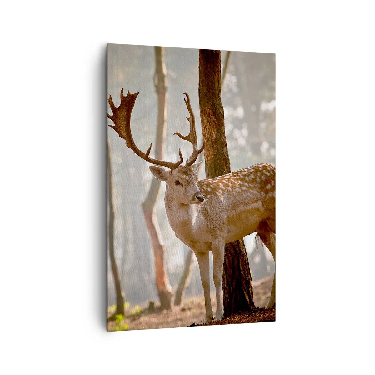 Quadro em tela - A Luz da Juventude - 80x120 cm