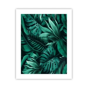 Pôster - A profundidade da vegetação tropical - 40x50 cm