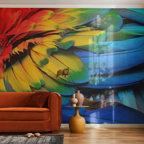 Papel de Parede Standard Eco - Ave do paraíso - Penas coloridas, Penas de papagaio, Animais - 300x210 cm