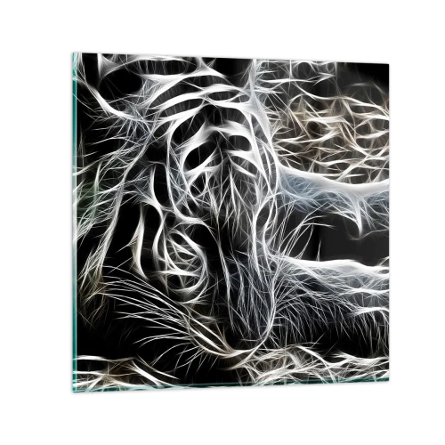 Quadro em vidro - Um estudo da leveza do gato - 40x40 cm