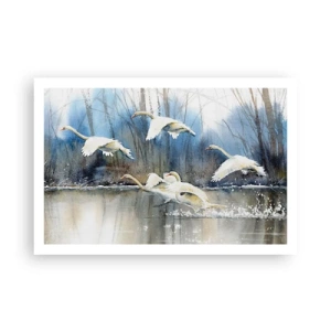 Pôster - Como no conto de fadas sobre cisnes selvagens - 91x61 cm