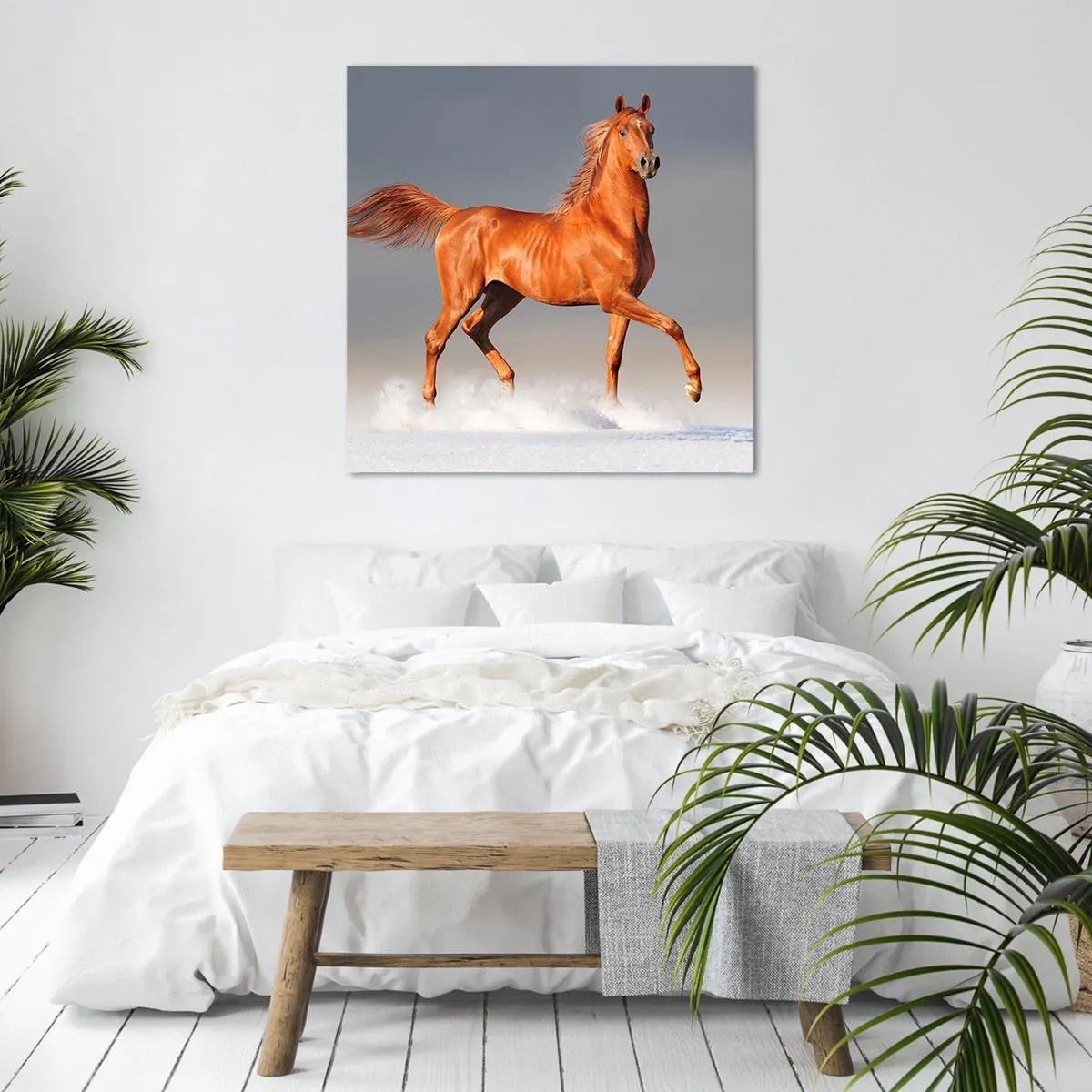 Quadro em tela - Graça Dançante - 60x60 cm