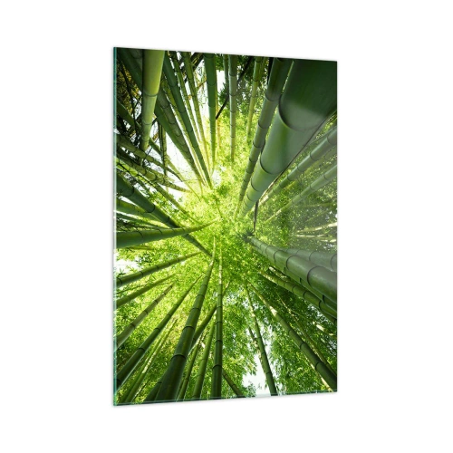 Quadro em vidro - Em um bosque de bambu - 50x70 cm