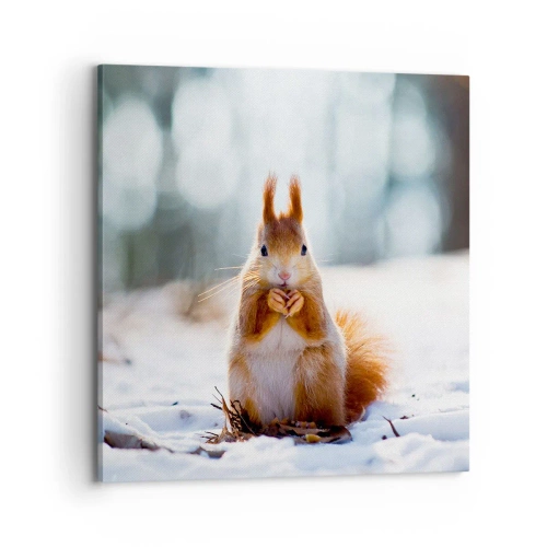 Quadro em tela - Para o que estás a olhar? - 70x70 cm