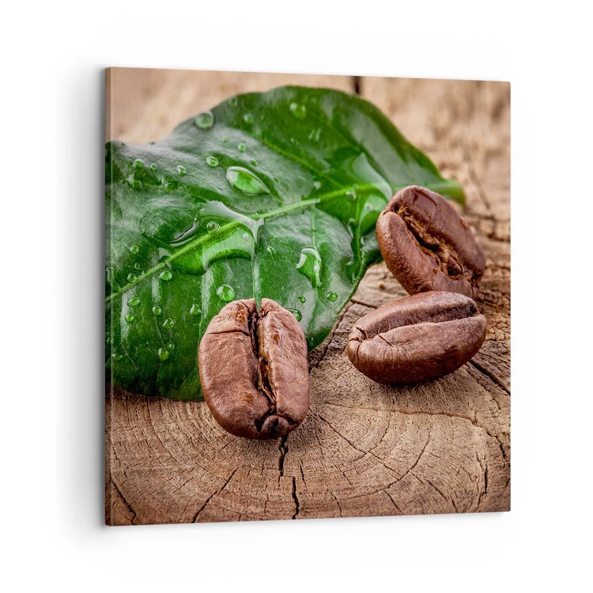 Quadro em tela - Preto e verdadeiro - 60x60 cm