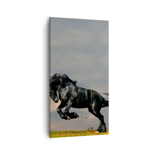 Quadro em tela - Bonito e lento - 55x100 cm